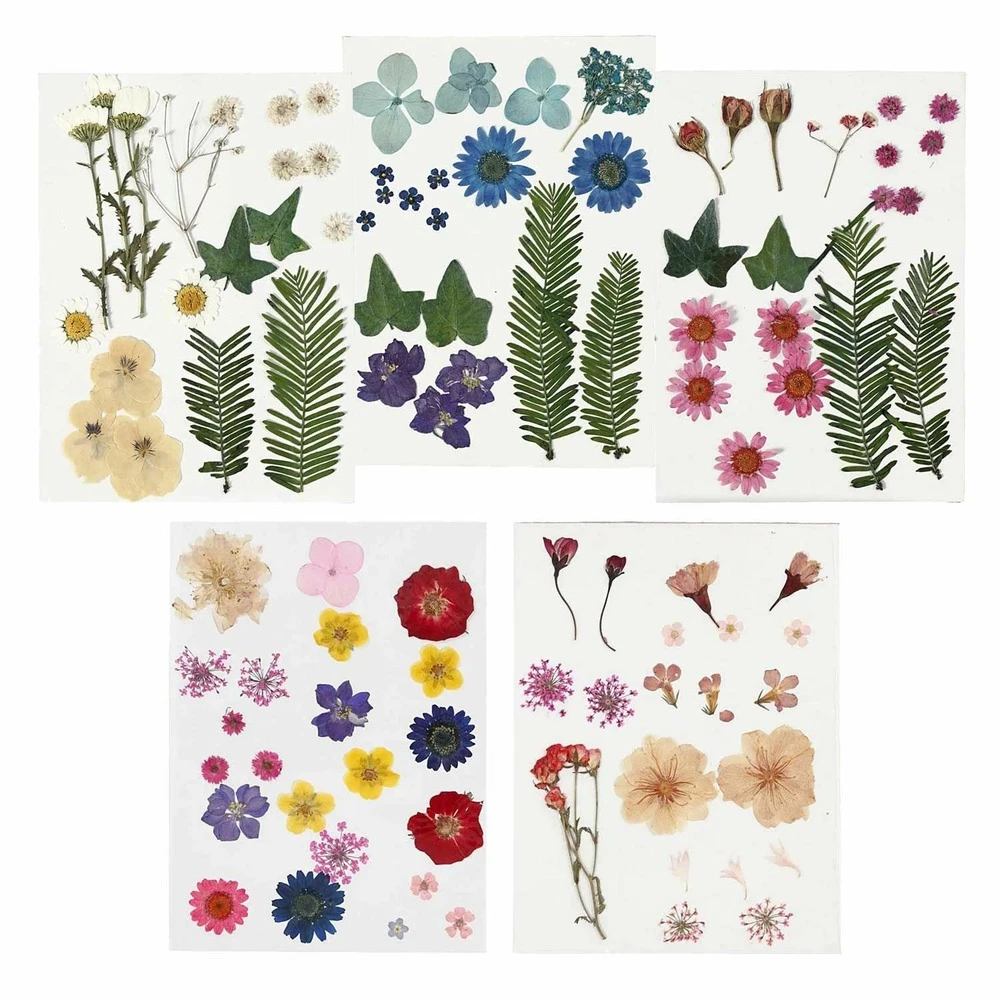 100 Fleurs Séchées Et Pressées Multicolores 3 100 Fleurs Séchées Et Pressées Multicolores