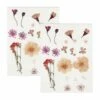 40 Fleurs Séchées Et Pressées - Rose Clair -Grasses Fleurs Soldes Boutique 6425847bee8fe9.72835223