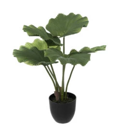 ATMOSPHERA Plante Artificielle Palmier En Pot H 65 Cm