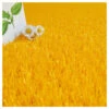 Gazon Synthétique Peps - Couleur Jaune Orangé - 20mm - 2m X 2m -Grasses Fleurs Soldes Boutique 645cec98a653c5.46354107