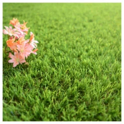 Gazon Synthétique Fontainebleau - 30mm - 1m X 9m -Grasses Fleurs Soldes Boutique 645d645d3244b6.85261918