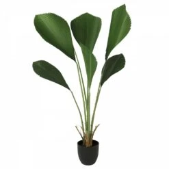 Palmier Artificiel Cuillère Licuala 110cm -Grasses Fleurs Soldes Boutique 66a24db83bcb9ad7