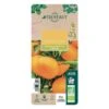 Mandarinier : C3L, Agriculture Biologique 2 Mandarinier : C3L, Agriculture Biologique -Grasses Fleurs Soldes Boutique 697332 012