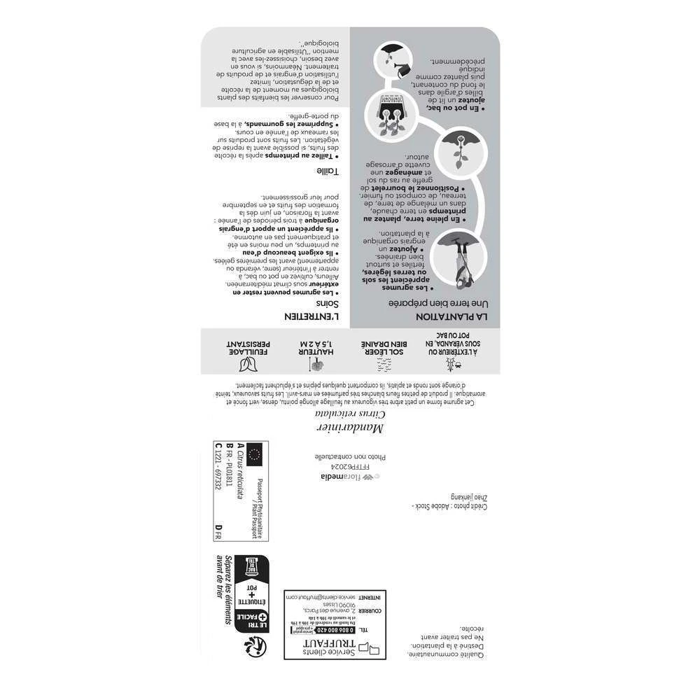 Mandarinier : C3L, Agriculture Biologique 4 Mandarinier : C3L, Agriculture Biologique – Image 2