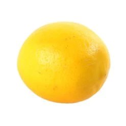 Citronnier X Meyer : AB C3L -Grasses Fleurs Soldes Boutique 697337 007