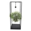 Tillandsia Et Son Support En Cube - H35cm, ø20cm - Plante D'intérieur Tombante -Grasses Fleurs Soldes Boutique 7f164b806c086ee0