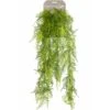 Emerald Asperges Plumosus Artificielle 80 Cm -Grasses Fleurs Soldes Boutique 8ed81fd435ef0b6d