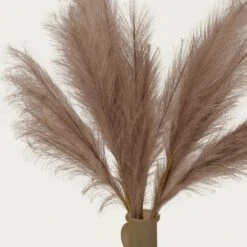 Plumeau Artificiel Brun 110cm Lot De 3 -Grasses Fleurs Soldes Boutique 93e16f73c5a7031d