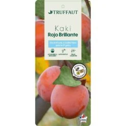 Kaki 'Rouge Brillant 1/2T Pot 15L -Grasses Fleurs Soldes Boutique 952752 002