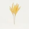 Plumeau Artificiel Jaune 110cm Lot De 3 1 Plumeau Artificiel Jaune 110cm Lot De 3 -Grasses Fleurs Soldes Boutique 9e50293acf66d446