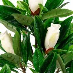 Magnolia Artificiel 90 Cm 9 Magnolia Artificiel 90 Cm -Grasses Fleurs Soldes Boutique aa403eff3f249af0