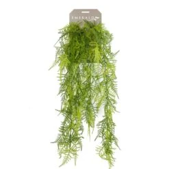 Emerald Asperges Plumosus Artificielle 80 Cm 5 Emerald Asperges Plumosus Artificielle 80 Cm -Grasses Fleurs Soldes Boutique b843aca257a14696