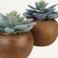 Succulente Artificielle Pot Bois 15cm Lot De 2 -Grasses Fleurs Soldes Boutique b95dd14e3affb248