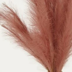 Plumeau Artificiel Terracotta 110cm Lot De 3 10 Plumeau Artificiel Terracotta 110cm Lot De 3 -Grasses Fleurs Soldes Boutique f9cded8eb2191072