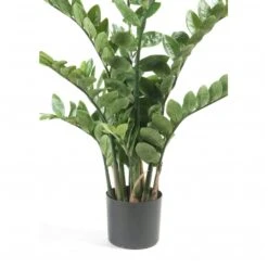Emerald Zamioculcas Artificiel Vert 110 Cm 11.662c 8 Emerald Zamioculcas Artificiel Vert 110 Cm 11.662c -Grasses Fleurs Soldes Boutique fb433d9acae0b9bb