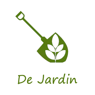 Grasses Fleurs Soldes Boutique